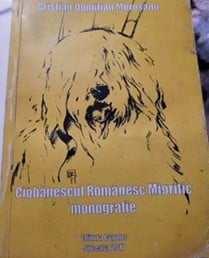Cover of a book