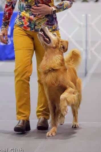 Lorie Jolly and ‘Bridge’ heeling on Sunday.