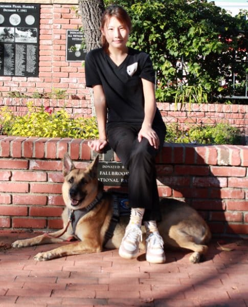 Asia Duhamel sitting on a low, red, brick wall with her Service Dog, German Shepherd known as "Lotus" laying under her legs