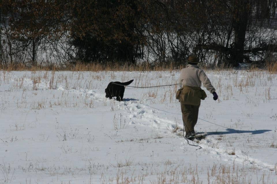 Sylvia loved tracking, dragging me through the snow to find all her TDX articles.