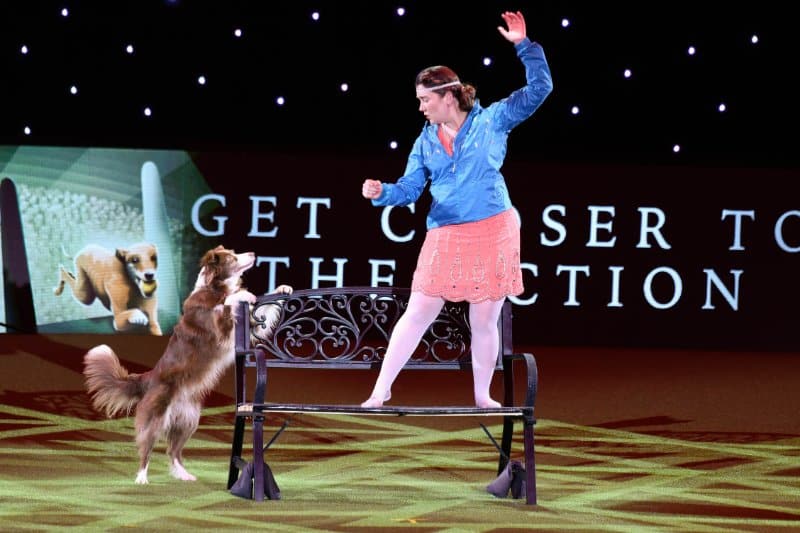Crufts Dog Show 2023