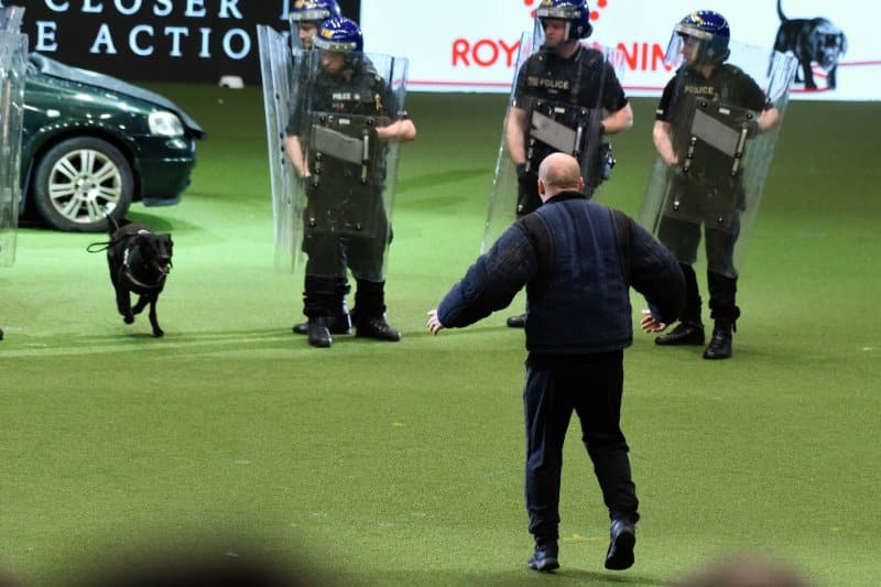 Crufts Dog Show 2023