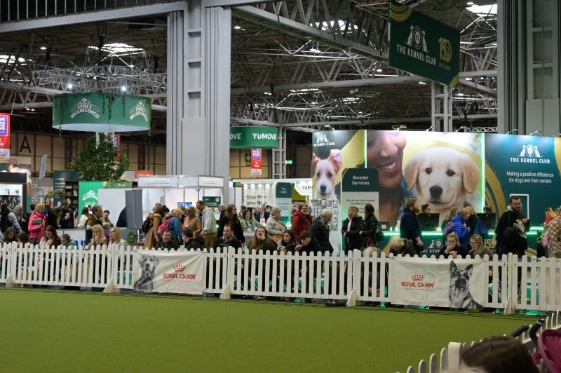 Crufts Dog Show 2023