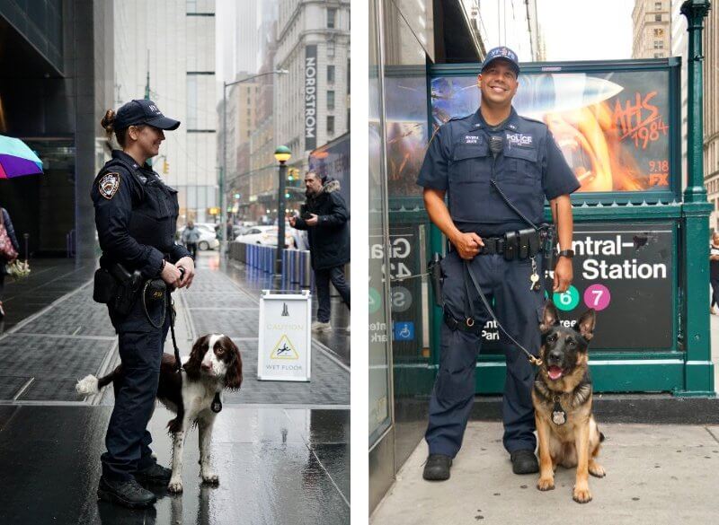 Police officers with K9 Service Dogs