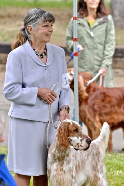 Dr. Jill Warren and ‘Shakespeare’ of Esthete English Setters