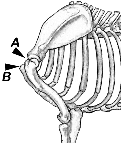 Figure 12.