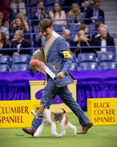 Luke Waters, the 2023 WKC Dog Show Best Junior Handler, is pictured at the show handling the Miniature Pinscher named "Kera."