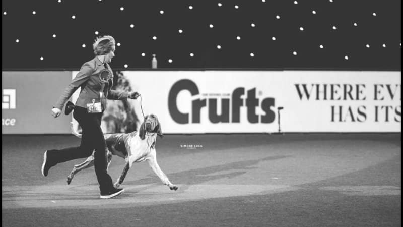 Lynne Bowley - Gunsyn Gundogs