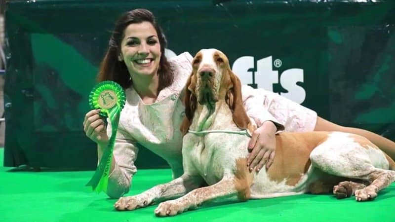 Winning BOS at Crufts