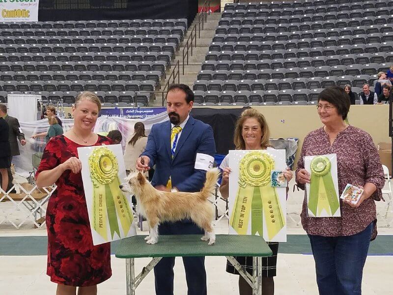 Adrian Ghione at a dog show