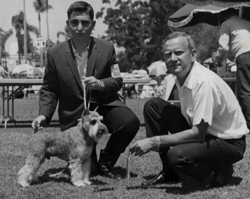 Miniature Schnauzer receives first points at the 1966. Silver Bay Kennel Club dog show under judge Marshall Barth.