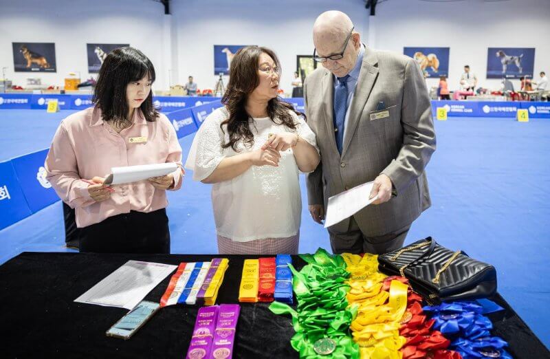 Foreign judges for the Korean Kennel Club are aided by English speaking stewards who allow you to focus on finding the best dog. “Harley” Wookhee Choi (center) serves as the principal liaison with most foreign judges.