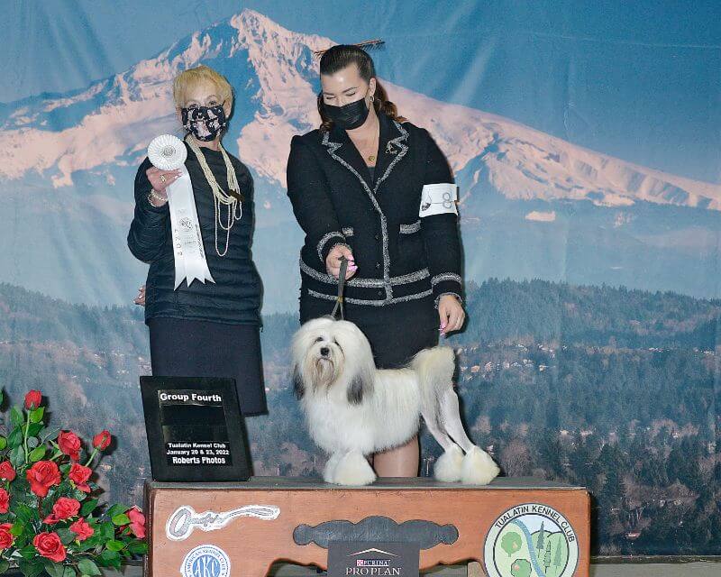 Alexia Rodriguez and her dog receiving a reward.