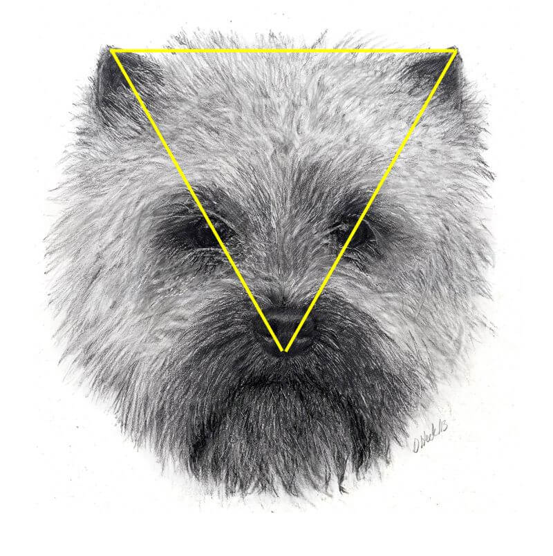 Front profile of a Cairn head seen from direct front.