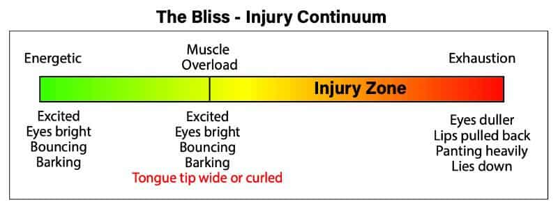 Play Ball… Safely