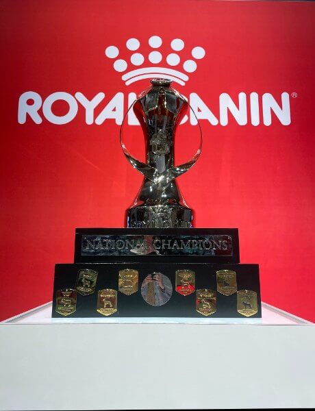 A Right ‘Royal’ Show