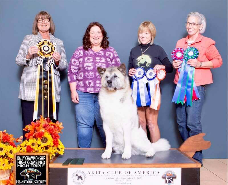 Four women are posing at the dog show with Akita.