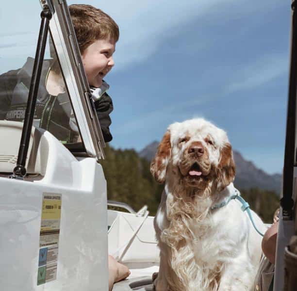 Picture of a boy and a dog.