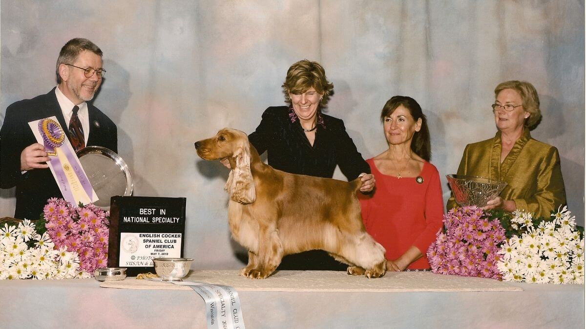 BIS NBISS GCH Majestic’s Keeping The Drama
