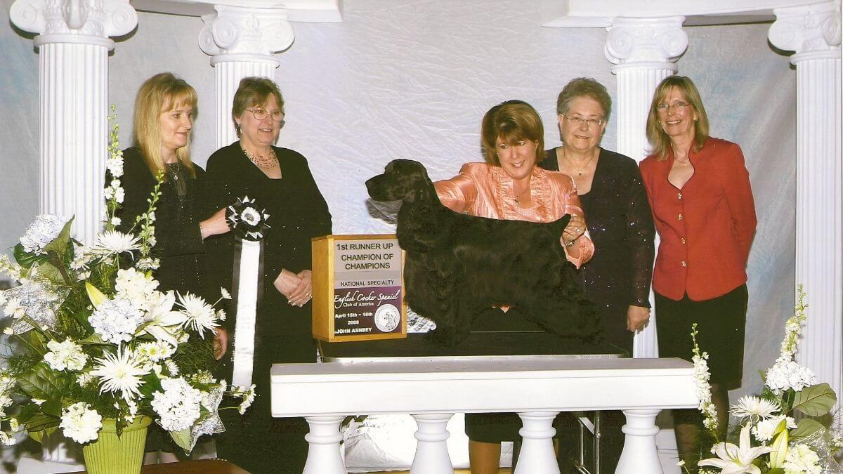 BISS CH Majestic’s Bring “It” On – a very significant sire for our line.
