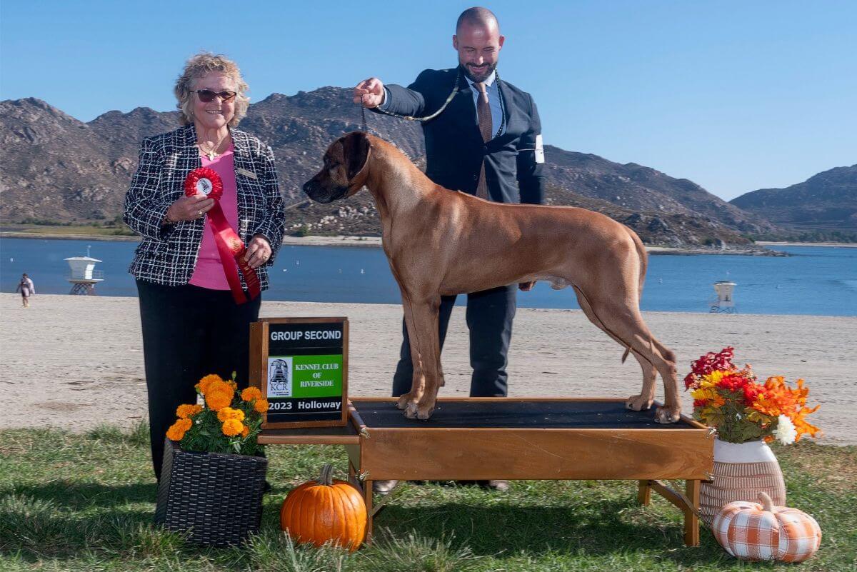 Graceridge Rhodesian Ridgeback