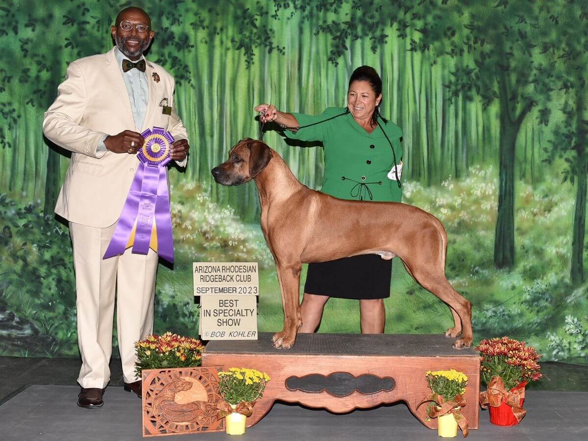 Graceridge Rhodesian Ridgeback