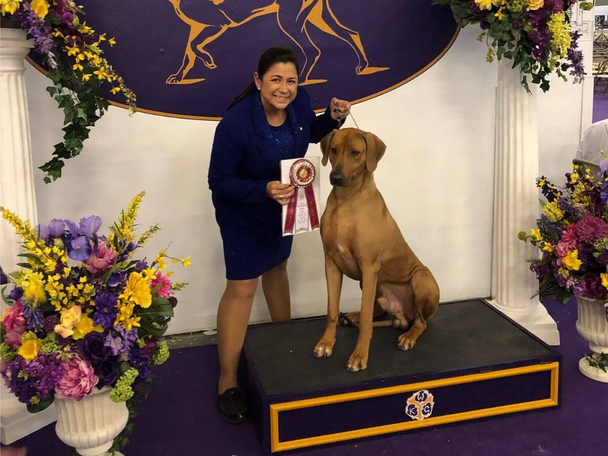 Graceridge Rhodesian Ridgeback