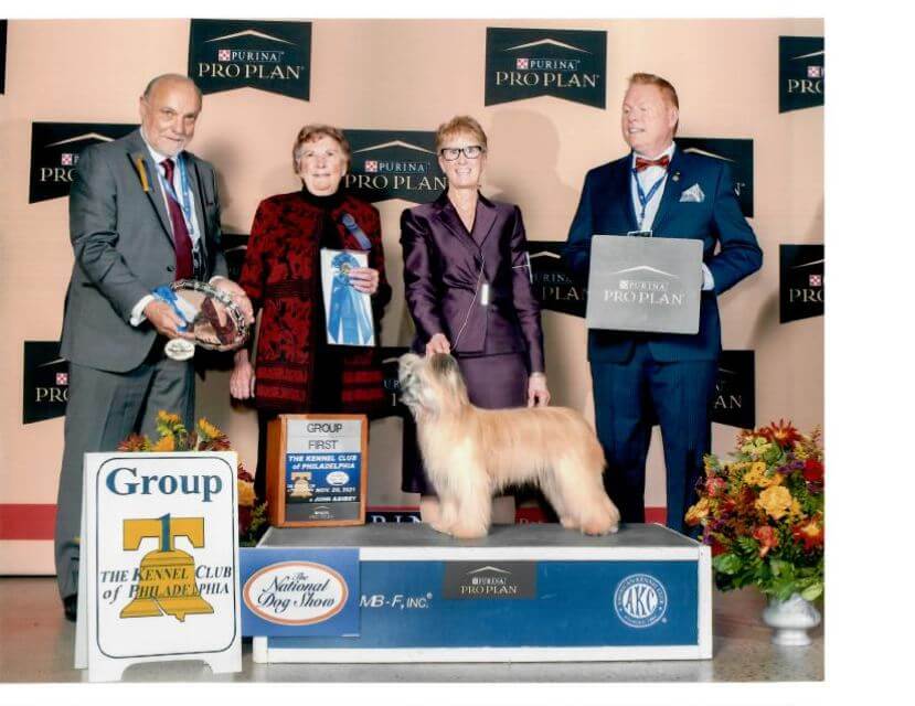 Judge Laurie King Telfair awards Herding Group First to the Pyrenean Shepherd at the KC of Philadelphia show in November 2022.
