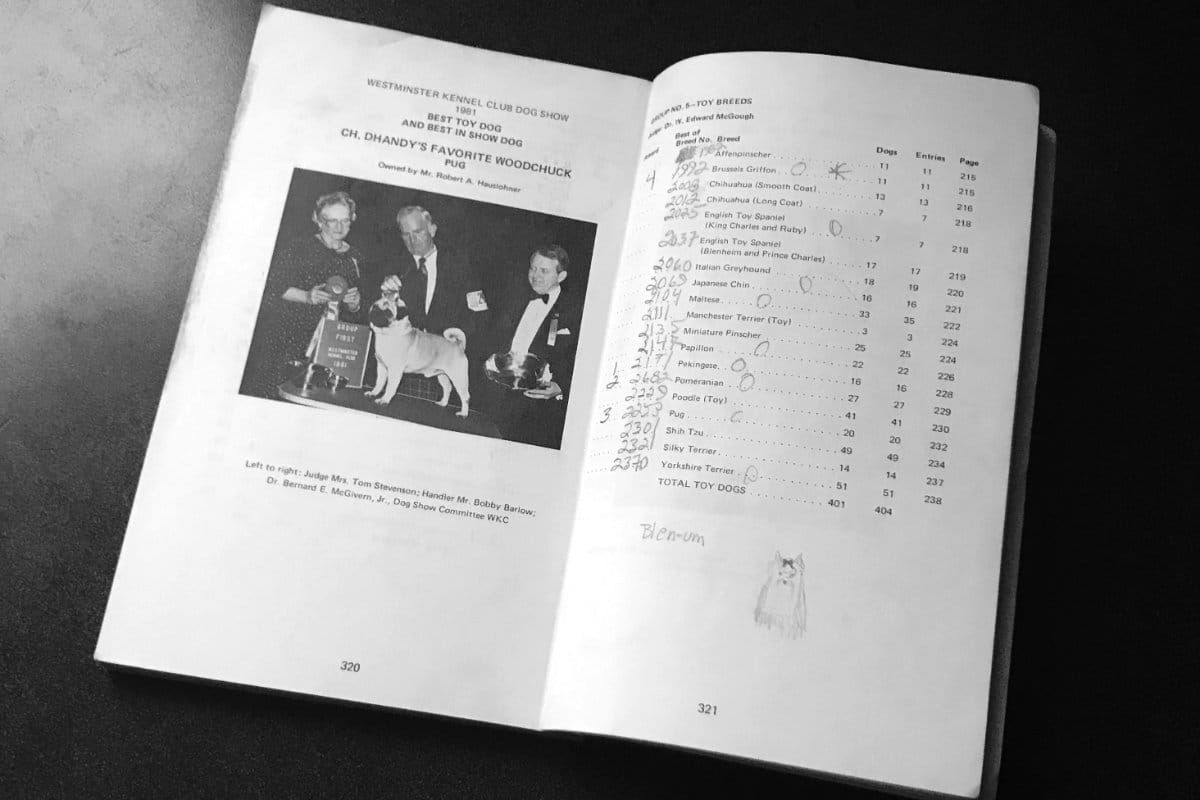 This page from Westminster’s 1982 catalog includes a phonetic spelling, a charming sketch, and the writer’s personal preferences in the Toy Group.