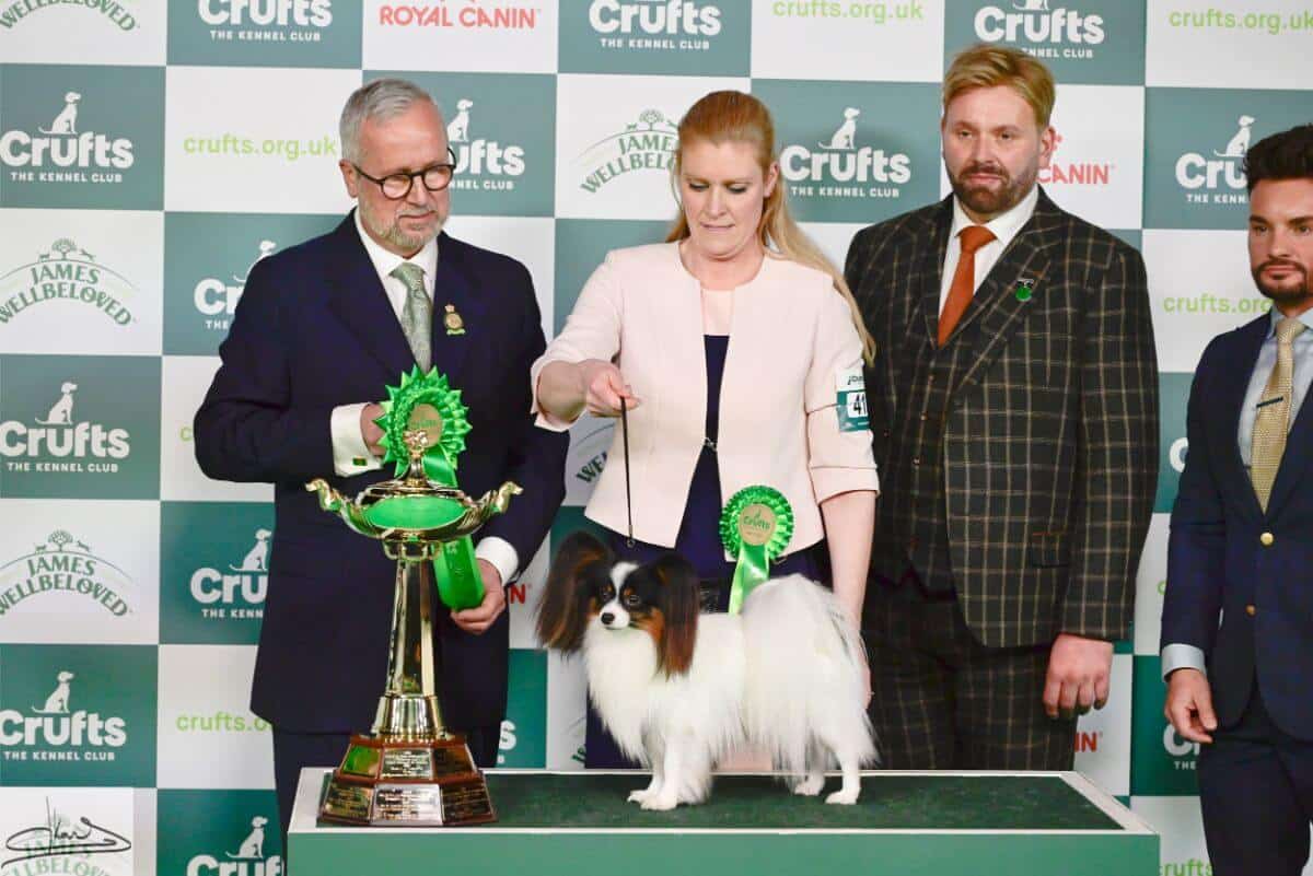 HOUND GROUP Judge: Mr. E. Engh (Norway) 1. Ch. Forget-Me-Not V Tum-Tum’s Vriendjes Basset Griffon Vendeen (Grand) Mrs. A. N. Huikeshoven