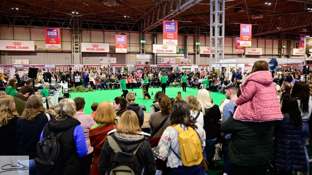 Crufts 2024 dog show ring.