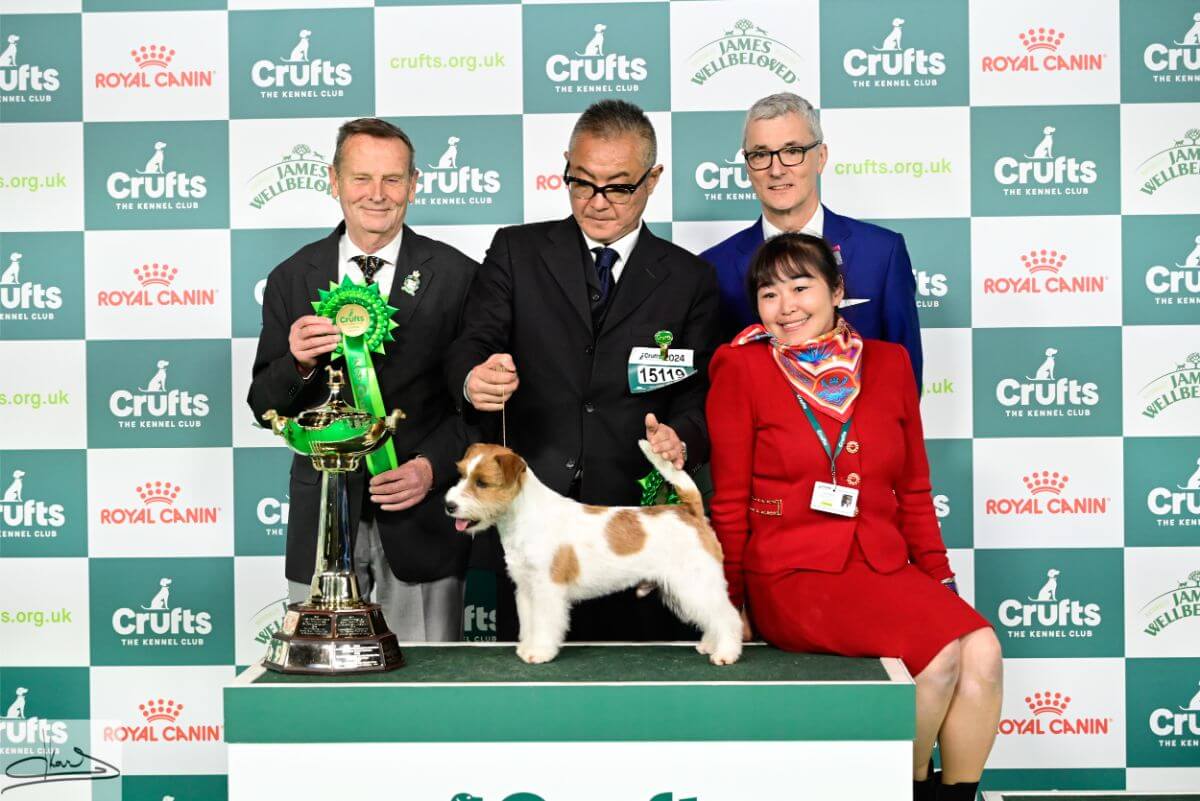 TERRIER GROUP Judge: Mr. H. Van Den Berg (Netherlands) 1. Multi. Ch. Original Master’s Voice Lovesong Monamour Jack Russell Terrier Ms. Kao Miichi