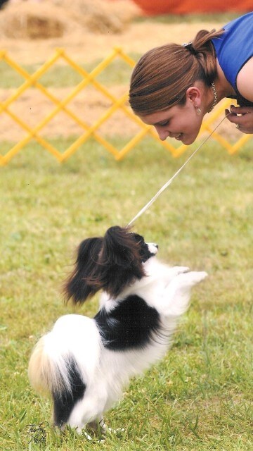 Woman leaning over a playfull Papillon dog, outside in the dog show ring.