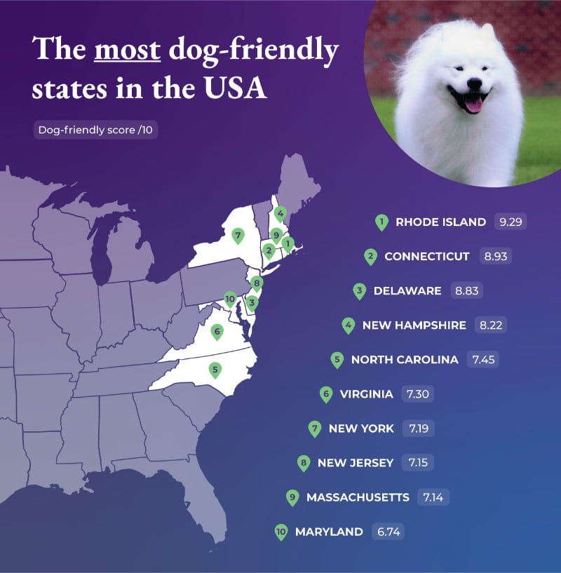 The most dog-friendly states in the USA