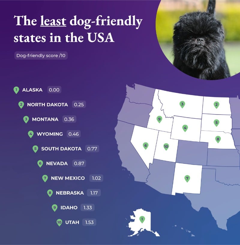 The least dog-friendly states in the USA