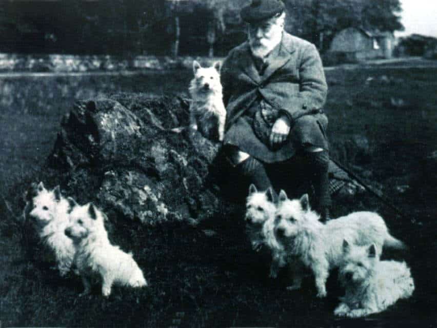 Old photograph of West Highland White Terriers with an older man in a coat.
