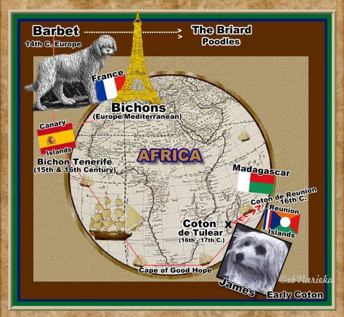 History Map