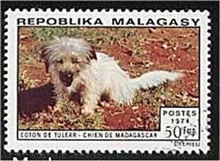 History Stamp