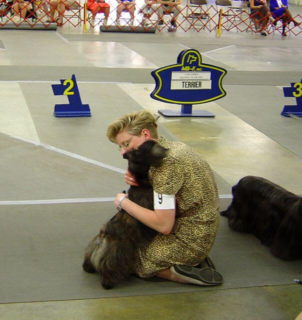 Scottish Terrier