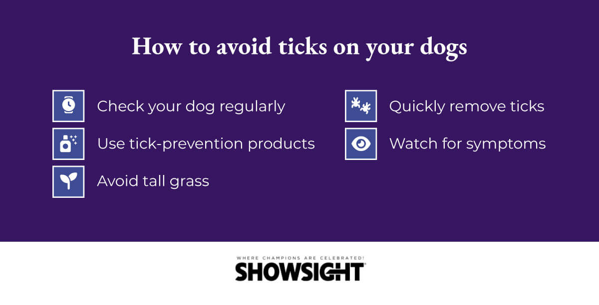 How to avoid ticks on your dogs