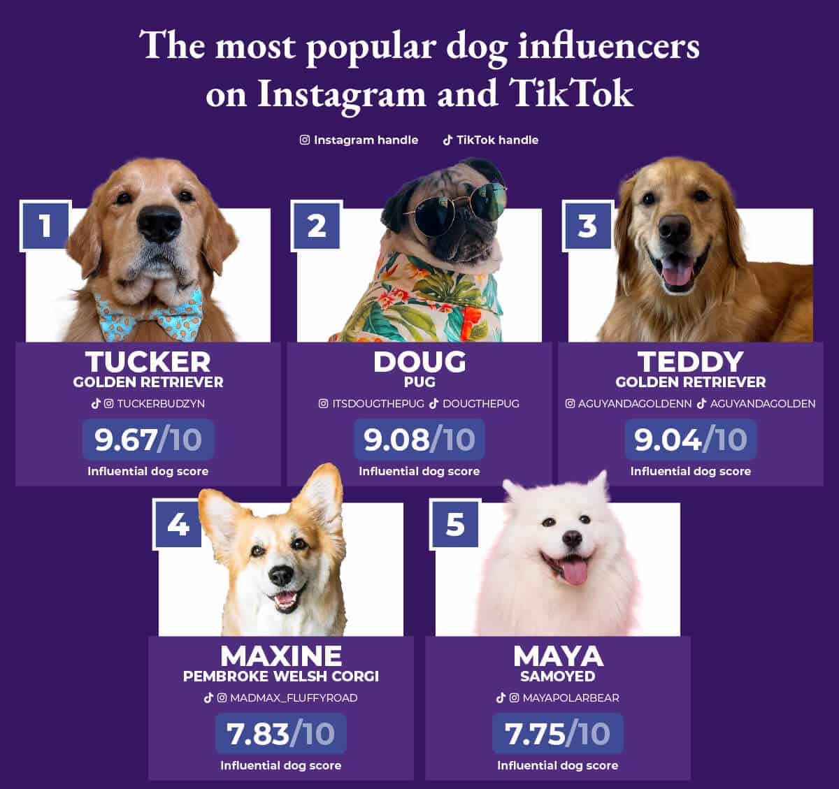 Tucker, the Golden Retriever, is the most influential dog on social media, with a score of 9.67