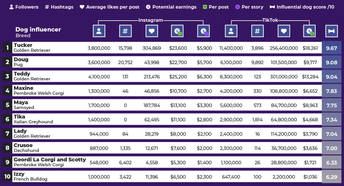 The World’s Most Influential Dogs: Which are the most successful dogs and breeds on social media?
