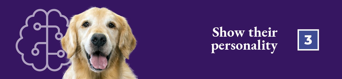 Expert tips on getting the best photos of your dogs: Show their personality