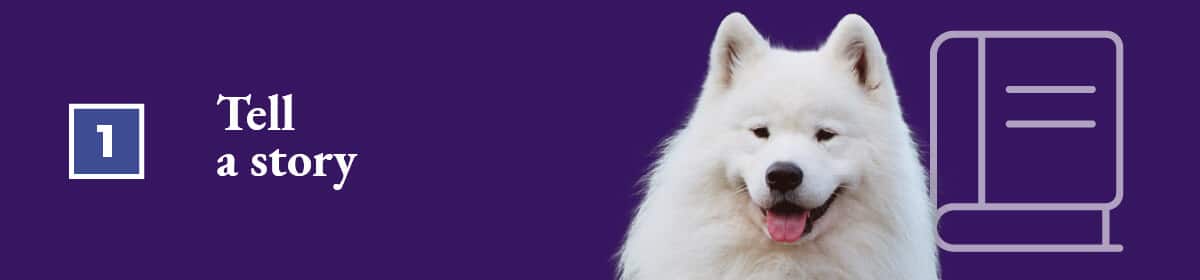 How to help your dog become a social media influencer: Tell a story