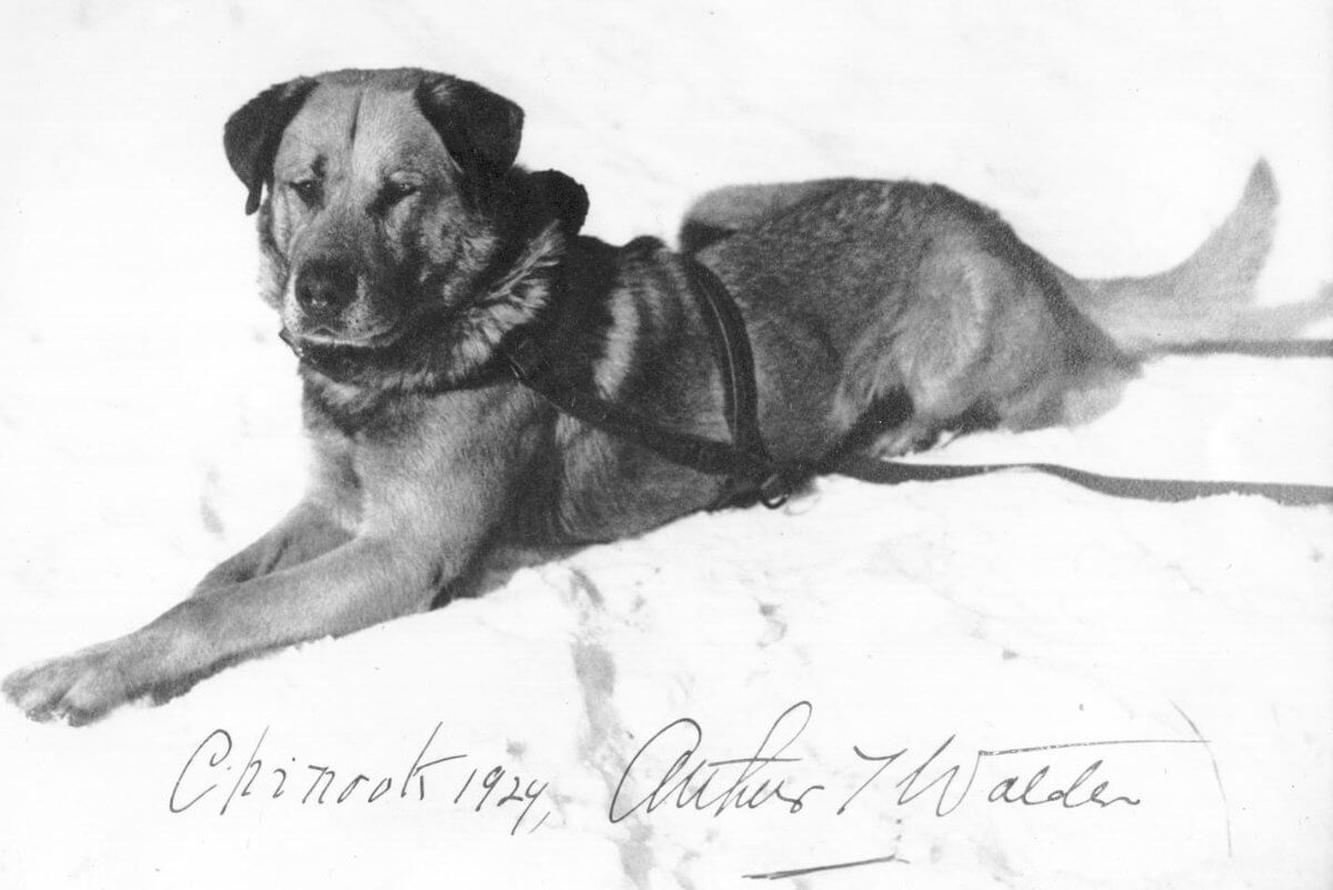 Arthur T. Walden's Chinook. Photo dated 1924.