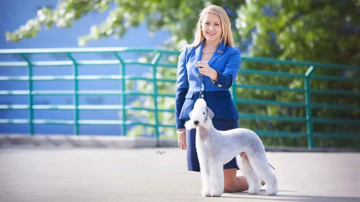 Lydia Frey with a Bedlington Terrier