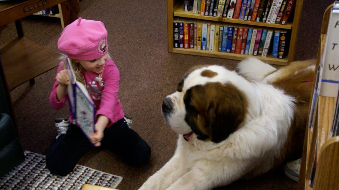 Saint Bernard