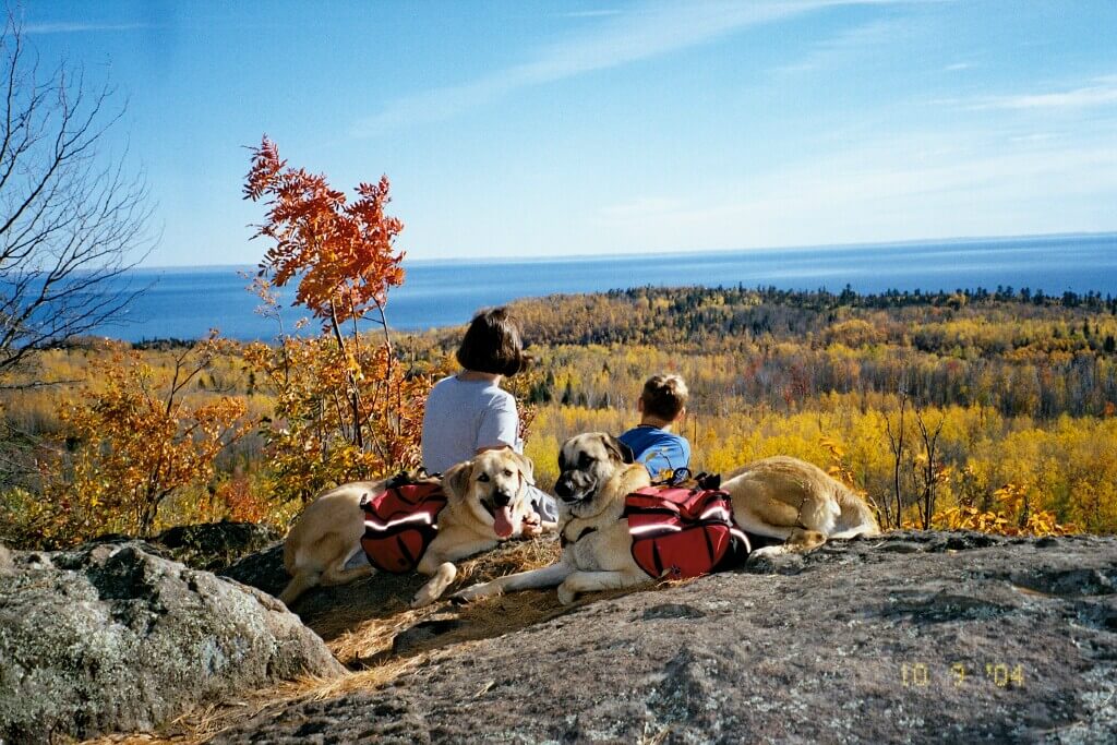 Mother and child with two Chinooks on a hike.