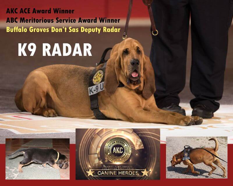 BloodHound