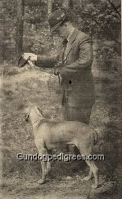 Black and white photo of a man with a Wirehaired Vizsla